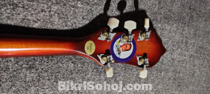 Banjo Guitar